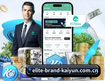 kaiyun APP 深度功能